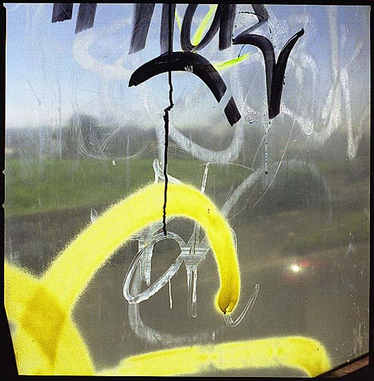 autor: Manuel Luís Cochofel