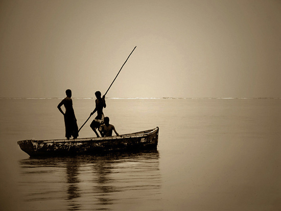 autor : Olga Gouveia                    