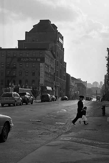 autor: Manuel Luís Cochofel