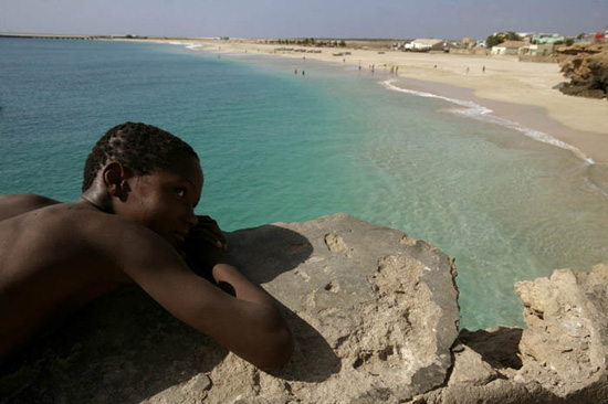 author : Luis Filipe Catarino                    