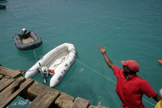 autor: Luis Filipe Catarino