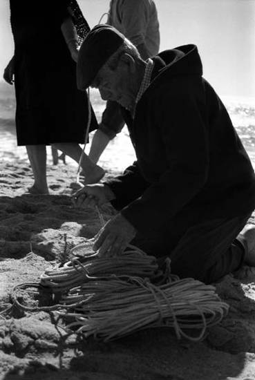 autor: Sofia Quintas