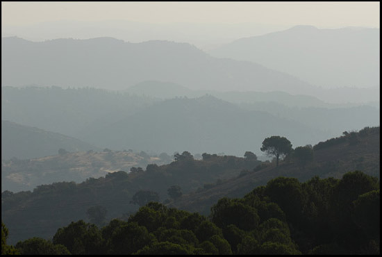 autor: Bruno Rascão
t&iacute;tulo: A morte do Miliciano de Capa na Guerra Civil de Espanha