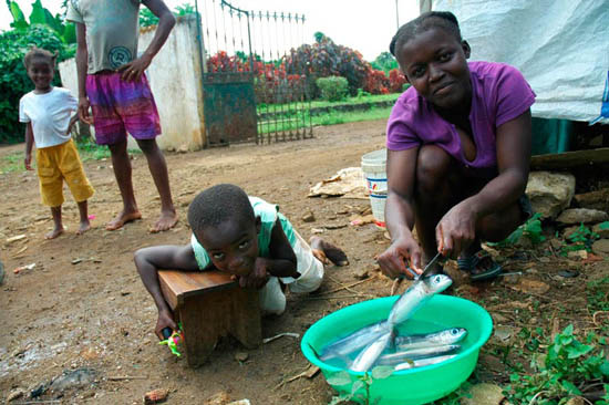 autor: Tânia Araújo