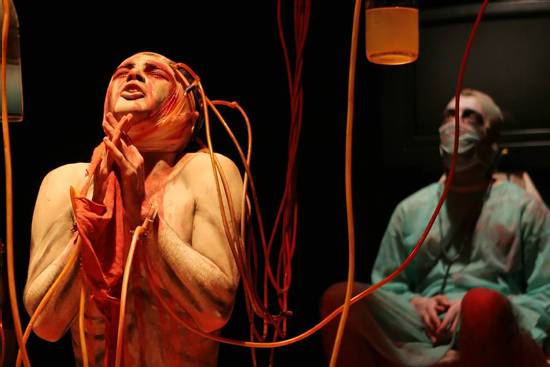 autor: Sofia Quintas