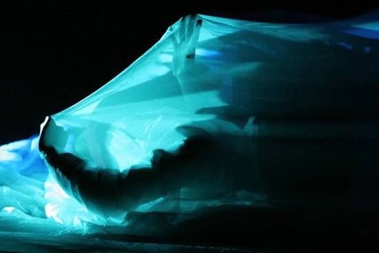 autor: Sofia Quintas