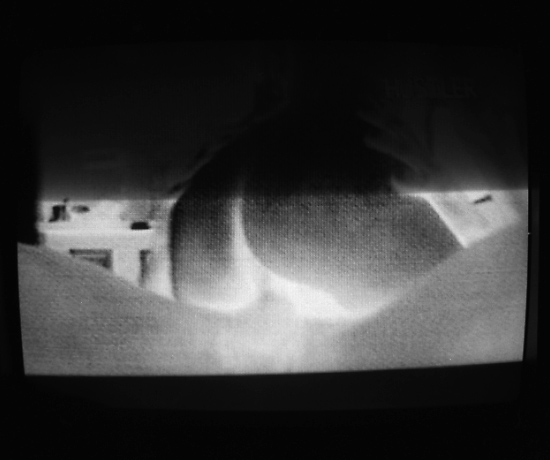 autor: Manuel Luís Cochofel