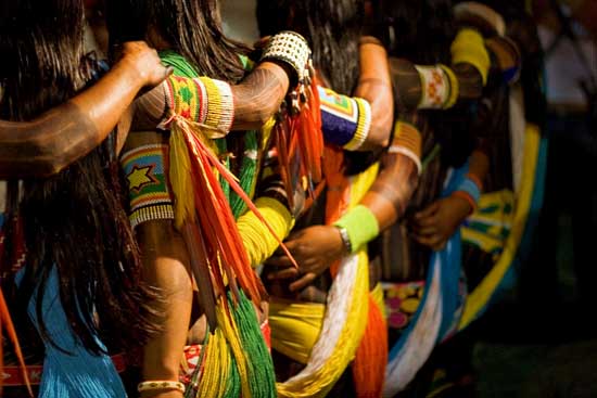 autor: Tatiana Cardeal