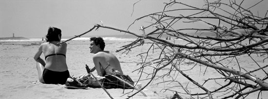 autor: Luísa Ferreira