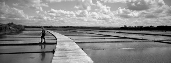 autor: Luísa Ferreira