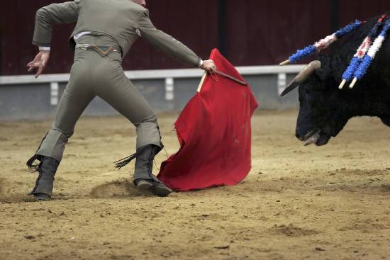 autor: Sofia Quintas