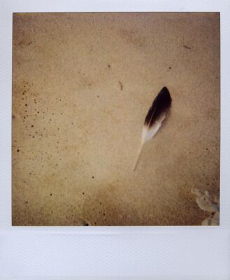 autor: Sofia Quintas
t&iacute;tulo: #5