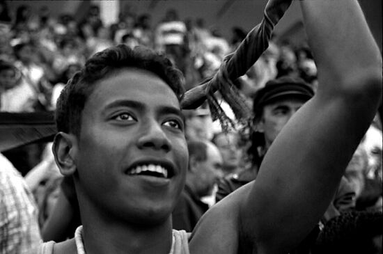 auteur: Sofia Quintas