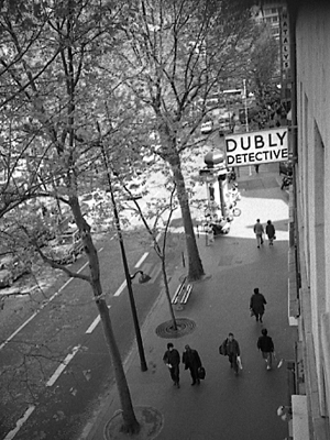 author : João Varela                    title: O Observador