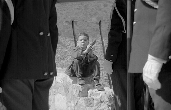 auteur: Sofia Quintas