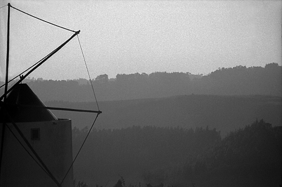 autor: Sofia Quintas