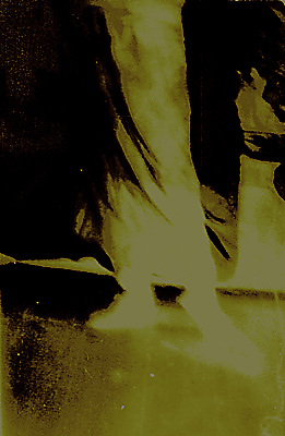 autor: Ana Ribeiro dos Santos