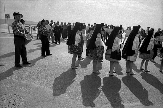 author : paulo rodrigues                    