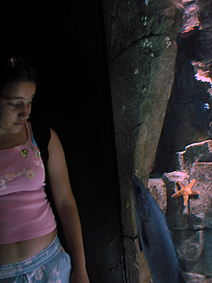 autor: Sofia Quintas