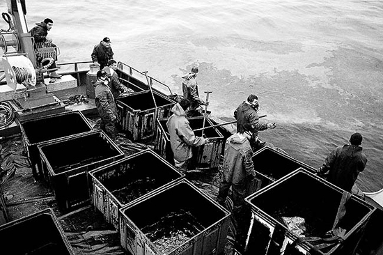 autor: João  Carvalho Pina