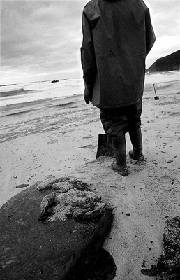 autor : João  Carvalho Pina                    