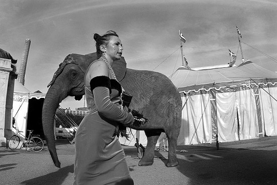 autor: Daniel Navarro