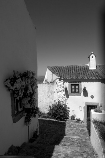 autor: paulo rodrigues