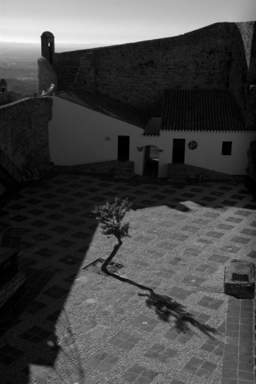 autor: paulo rodrigues