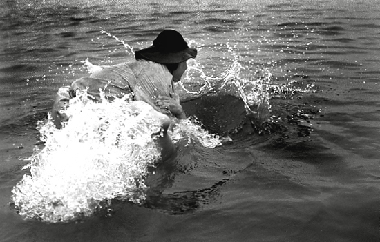 auteur : Paula Brilhante                    