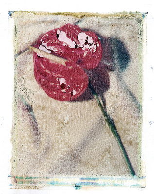 autor: José Gonçalves