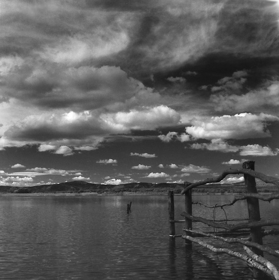 autor: Manuel Luís Cochofel