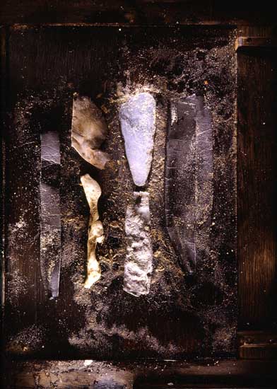 autor: Jeremy Webb
t&iacute;tulo: beach bits in sand