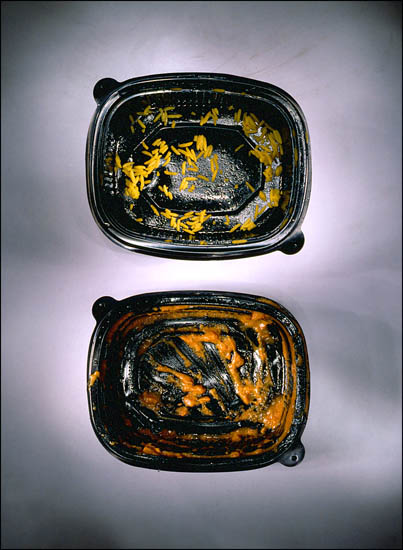 autor: Jeremy Webb
t&iacute;tulo: curry (tikka) & rice trays