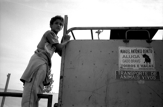 autor: Sofia Quintas