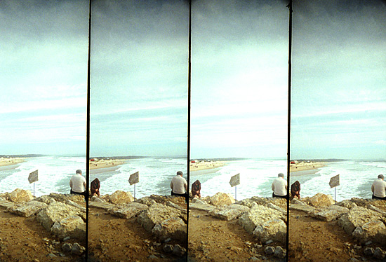 autor: Sofia Quintas