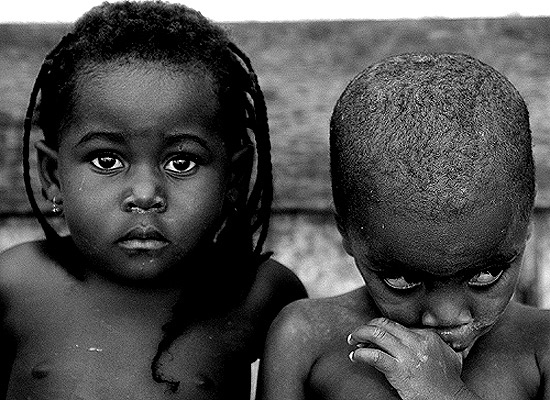 autor: José Silva Pinto
t&iacute;tulo: Timidez