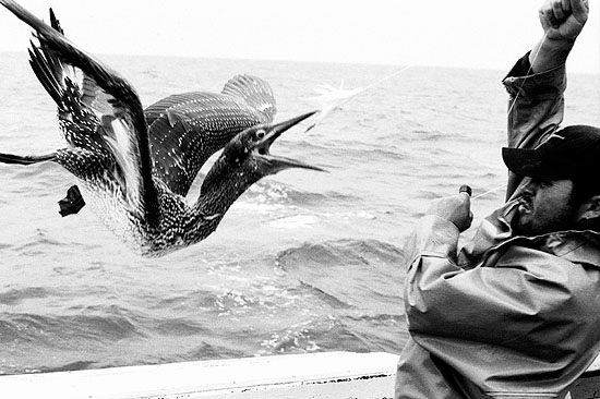 autor: Txomin  Txueka