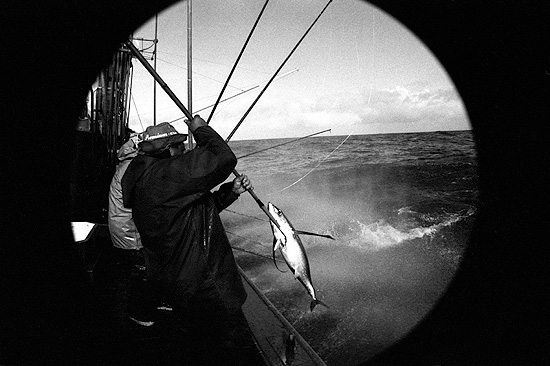 autor: Txomin  Txueka