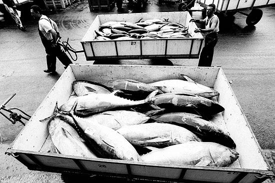 autor: Txomin  Txueka