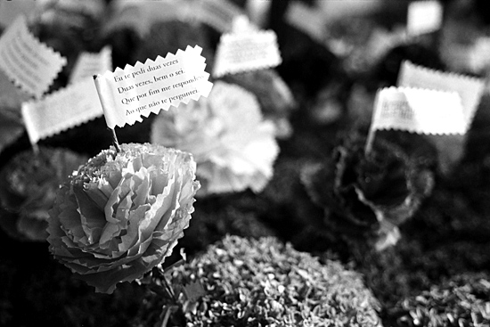 author : Sofia Quintas                    