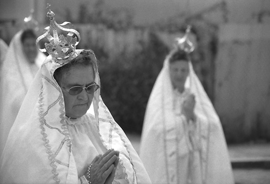 autor: Manuel Luís Cochofel