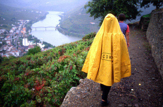 auteur : José Gonçalves                    titre: Douro 14