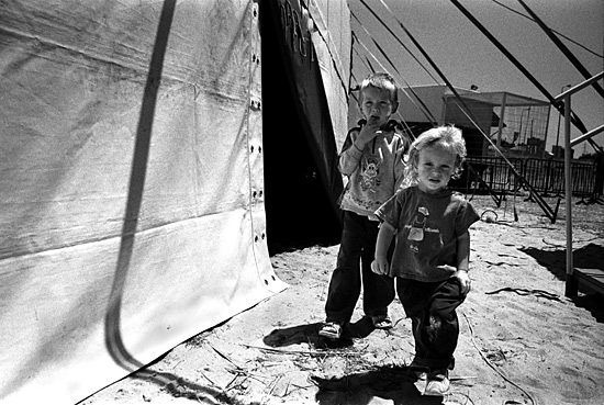 auteur: Sofia Quintas