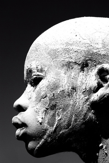 autor: José Silva Pinto
t&iacute;tulo: Perfil