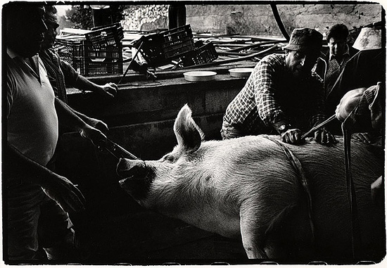 autor: Stefan Rohner
t&iacute;tulo: 3