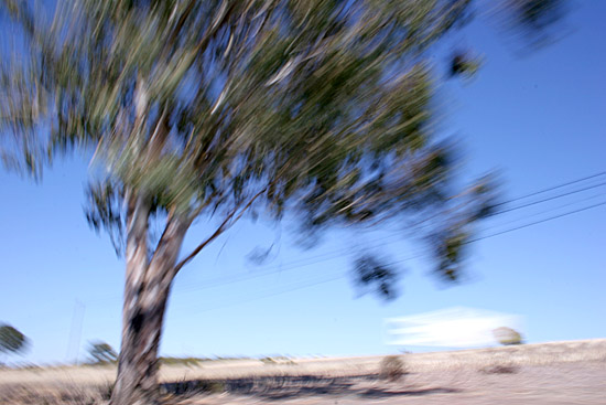 autor: Sofia Quintas