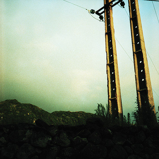 autor: Catarina Costa Cabral