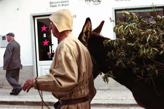 autor: paulo rodrigues