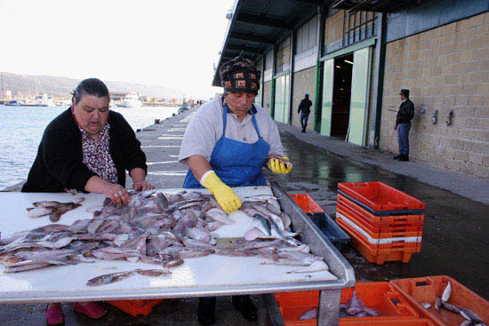 autor: Sofia Quintas