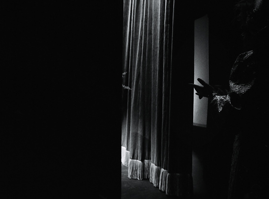 autor: Manuel Luís Cochofel